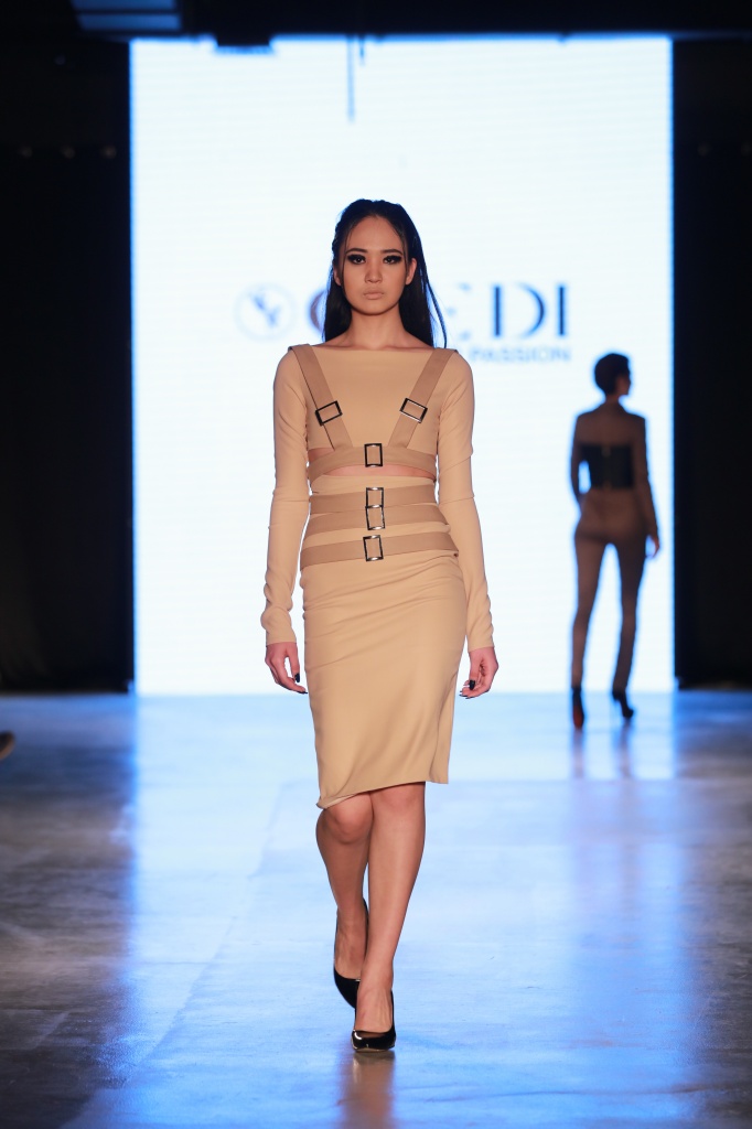 GIEDI AFW1.jpg